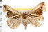  ( - IM08-1158)  @14 [ ] CreativeCommons - Attribution (2008) Unspecified Centre for Biodiversity Genomics