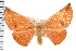  ( - IM08-1176)  @13 [ ] CreativeCommons - Attribution (2008) Unspecified Centre for Biodiversity Genomics