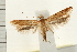  ( - IM08-1682)  @14 [ ] CreativeCommons - Attribution (2008) Unspecified Centre for Biodiversity Genomics