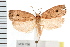  ( - IM08-1198)  @15 [ ] CreativeCommons - Attribution (2008) Unspecified Centre for Biodiversity Genomics
