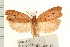  ( - IM08-1737)  @15 [ ] CreativeCommons - Attribution (2008) Unspecified Centre for Biodiversity Genomics