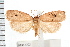  ( - IM08-1222)  @15 [ ] CreativeCommons - Attribution (2008) Unspecified Centre for Biodiversity Genomics