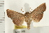  ( - IM08-2069)  @13 [ ] CreativeCommons - Attribution (2008) Unspecified Centre for Biodiversity Genomics