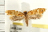  ( - IM08-2080)  @13 [ ] CreativeCommons - Attribution (2008) Unspecified Centre for Biodiversity Genomics