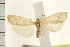  ( - IM08-2324)  @13 [ ] CreativeCommons - Attribution (2008) Unspecified Centre for Biodiversity Genomics