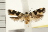  ( - IM08-2357)  @14 [ ] CreativeCommons - Attribution (2008) Unspecified Centre for Biodiversity Genomics
