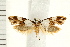 ( - IM08-2469)  @15 [ ] CreativeCommons - Attribution (2008) Unspecified Centre for Biodiversity Genomics