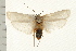  ( - IM08-2485)  @13 [ ] CreativeCommons - Attribution (2008) Unspecified Centre for Biodiversity Genomics