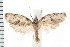  ( - IM08-1349)  @13 [ ] CreativeCommons - Attribution (2008) Unspecified Centre for Biodiversity Genomics
