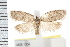  ( - IM08-1354)  @13 [ ] CreativeCommons - Attribution (2008) Unspecified Centre for Biodiversity Genomics