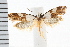  ( - IM08-1364)  @15 [ ] CreativeCommons - Attribution (2008) Unspecified Centre for Biodiversity Genomics
