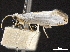  ( - BIOUG44550-H05)  @11 [ ] CreativeCommons - Attribution (2018) CBG Photography Group Centre for Biodiversity Genomics