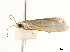  ( - BIOUG44550-H06)  @11 [ ] CreativeCommons - Attribution (2018) CBG Photography Group Centre for Biodiversity Genomics