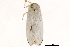  ( - BIOUG44550-H10)  @12 [ ] CreativeCommons - Attribution (2018) CBG Photography Group Centre for Biodiversity Genomics