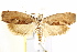  ( - IM11-0044)  @14 [ ] CreativeCommons - Attribution (2012) CBG Photography Group Centre for Biodiversity Genomics