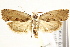  ( - IM11-0046)  @14 [ ] CreativeCommons - Attribution (2012) CBG Photography Group Centre for Biodiversity Genomics