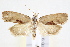 ( - IM11-0047)  @14 [ ] CreativeCommons - Attribution (2012) CBG Photography Group Centre for Biodiversity Genomics