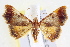  ( - IM11-0051)  @14 [ ] CreativeCommons - Attribution (2012) CBG Photography Group Centre for Biodiversity Genomics