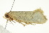  ( - IM11-0142)  @13 [ ] CreativeCommons - Attribution (2012) CBG Photography Group Centre for Biodiversity Genomics