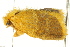  ( - IM11-0148)  @12 [ ] CreativeCommons - Attribution (2012) CBG Photography Group Centre for Biodiversity Genomics