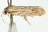  ( - IM11-0197)  @13 [ ] CreativeCommons - Attribution (2012) CBG Photography Group Centre for Biodiversity Genomics