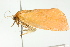  ( - IM11-0200)  @12 [ ] CreativeCommons - Attribution (2012) CBG Photography Group Centre for Biodiversity Genomics