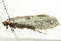  ( - IM11-0260)  @13 [ ] CreativeCommons - Attribution (2012) CBG Photography Group Centre for Biodiversity Genomics