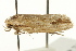  ( - IM11-0274)  @13 [ ] CreativeCommons - Attribution (2012) CBG Photography Group Centre for Biodiversity Genomics