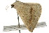  ( - IM12-0019)  @12 [ ] CreativeCommons - Attribution (2012) CBG Photography Group Centre for Biodiversity Genomics
