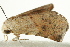  ( - IM12-0083)  @12 [ ] CreativeCommons - Attribution (2012) CBG Photography Group Centre for Biodiversity Genomics