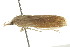  ( - IM12-0159)  @12 [ ] CreativeCommons - Attribution (2012) CBG Photography Group Centre for Biodiversity Genomics