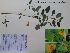  ( - Hgo25)  @11 [ ] Copyright (c)  renejosue.monzalvolopez@siu.edu Unspecified