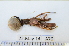  ( - IMSA76)  @14 [ ] Unspecified (default): All Rights Reserved  Unspecified Middle East Technical University, Institute of Marine Sciences, Mersin, TURKEY