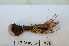  ( - IMSA76)  @14 [ ] Unspecified (default): All Rights Reserved  Unspecified Middle East Technical University, Institute of Marine Sciences, Mersin, TURKEY
