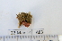  ( - IMSA83)  @12 [ ] Unspecified (default): All Rights Reserved  Unspecified Middle East Technical University, Institute of Marine Sciences, Mersin, TURKEY