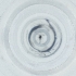  ( - IMSP_024_E1)  @11 [ ] by  Genome Research Ltd as Wellcome Sanger Institute Genome Research Limited operating as Wellcome Sanger Institute