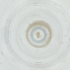  (Oonops - IMSP_024_F5)  @11 [ ] by  Genome Research Ltd as Wellcome Sanger Institute Genome Research Limited operating as Wellcome Sanger Institute