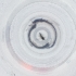  ( - IMSP_024_G10)  @11 [ ] by  Genome Research Ltd as Wellcome Sanger Institute Genome Research Limited operating as Wellcome Sanger Institute