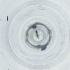  ( - IMSP_024_H2)  @11 [ ] by  Genome Research Ltd as Wellcome Sanger Institute Genome Research Limited operating as Wellcome Sanger Institute