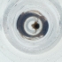  ( - IMSP_025_B12)  @11 [ ] by  Genome Research Ltd as Wellcome Sanger Institute Genome Research Limited operating as Wellcome Sanger Institute