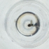  ( - IMSP_030_F2)  @11 [ ] by  Genome Research Ltd as Wellcome Sanger Institute Genome Research Limited operating as Wellcome Sanger Institute
