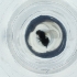  ( - IMSP_034_B4)  @11 [ ] by  Genome Research Ltd as Wellcome Sanger Institute Genome Research Limited operating as Wellcome Sanger Institute