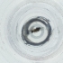  ( - IMSP_034_H6)  @11 [ ] by  Genome Research Ltd as Wellcome Sanger Institute Genome Research Limited operating as Wellcome Sanger Institute