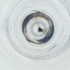 (Synergus sp. motu 3 - IMSP_035_A4)  @11 [ ] by  Genome Research Ltd as Wellcome Sanger Institute Genome Research Limited operating as Wellcome Sanger Institute