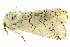  ( - BC-INCT0603)  @13 [ ] CreativeCommons - Attribution (2010) CBG Photography Group Centre for Biodiversity Genomics