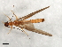  ( - 08INHSP-388)  @11 [ ] CreativeCommons - Attribution (2009) Unspecified Centre for Biodiversity Genomics