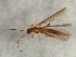  ( - 08INHSP-390)  @11 [ ] CreativeCommons - Attribution (2009) Unspecified Centre for Biodiversity Genomics