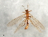  ( - 08INHSP-411)  @11 [ ] CreativeCommons - Attribution (2009) Unspecified Centre for Biodiversity Genomics