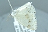  ( - INDOBIOSYS-CCDB26565-H08)  @11 [ ] Unspecified (default): All Rights Reserved  Unspecified Unspecified