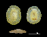  (unclassified Neolepetopsidae - I13_53)  @11 [ ] Copyright © (2025) Terue Cristina Kihara German Center for Marine Biodiversity Research